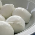 Little bites of heaven, ready to savor