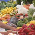 farmers market