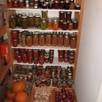 harvest 2011 003