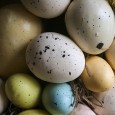 easter eggs
