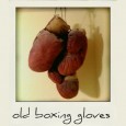 boxing gloves 600