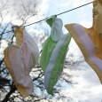 Why Cloth Diaper?