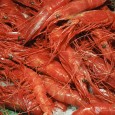How to Make Shrimp Stock