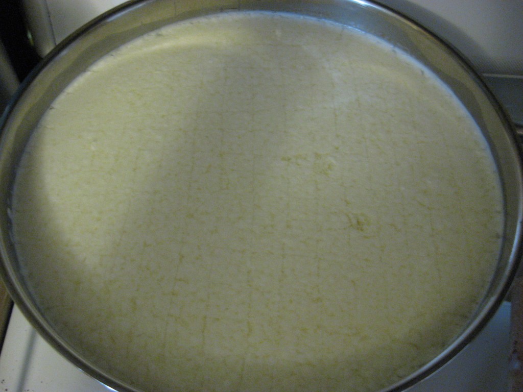 How to Make Mozzarella Cheese