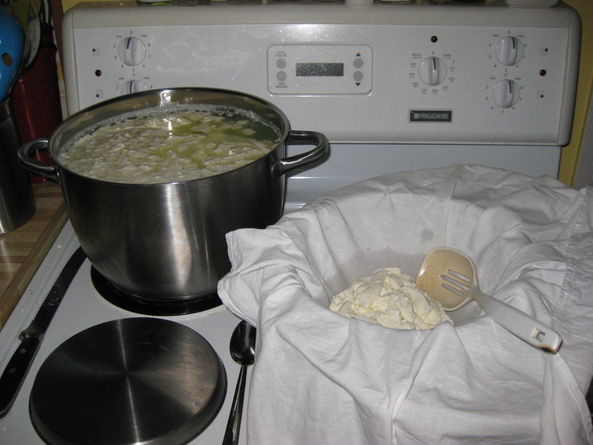 How to Make Mozzarella Cheese Nourishing Joy