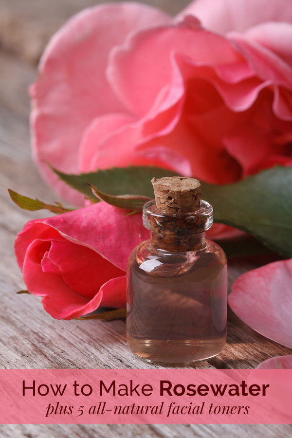 5 Homemade Toners How To Make Rosewater Nourishing Joy - Diy Rose Water Toner