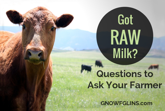 Got Raw Milk? Asking your farmer a few basic questions will help you determine how safe your raw milk is to drink! | @NourishingJoy via GNOWFGLINS.com