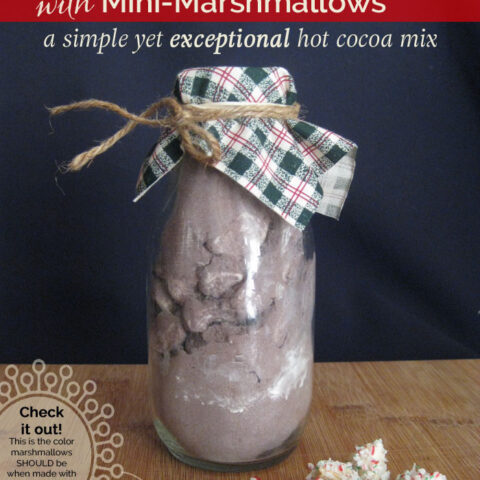 THE BEST (and I don't say that lightly) Homemade Hot Chocolate Mix with Homemade Mini-Marshmallows to boot :)