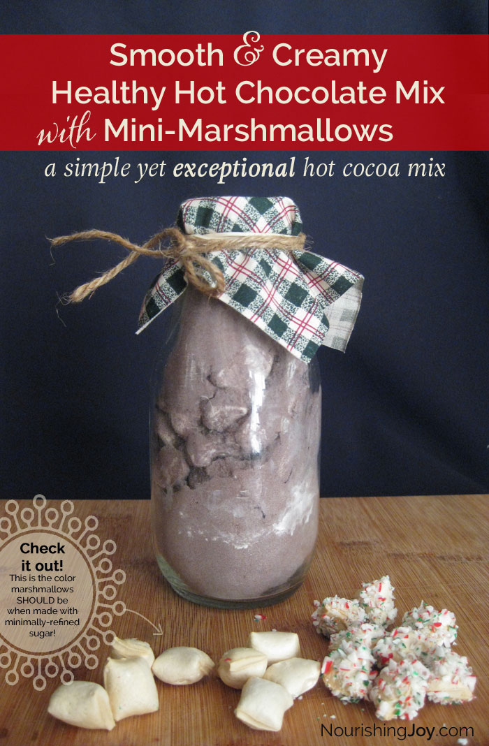DIY Homemade Hot Chocolate Mix + Homemade Mini-Marshmallows
