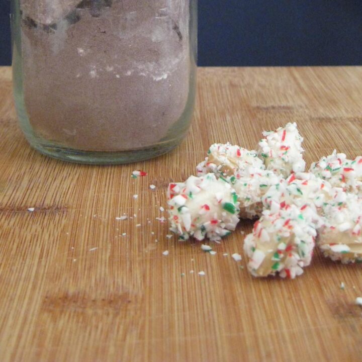 THE BEST (and I don't say that lightly) Homemade Hot Chocolate Mix with Homemade Mini-Marshmallows to boot :)