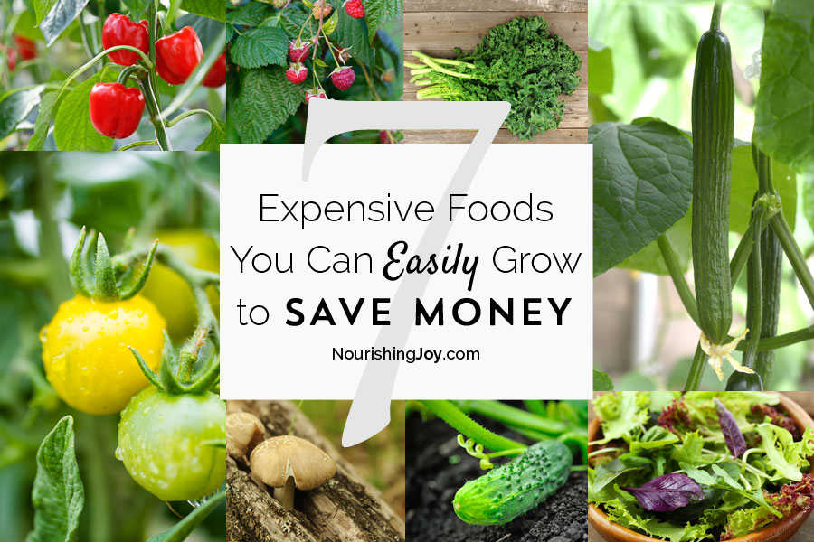 Some groceries are SO expensive! Save significant money each year by growing these otherwise expensive foods.