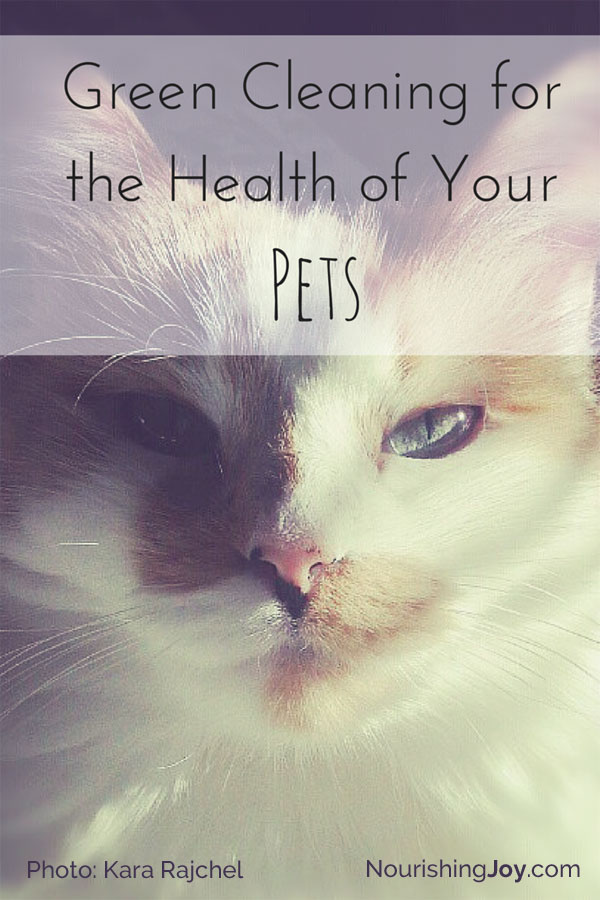 Green Cleaning for the Health of Your Pets