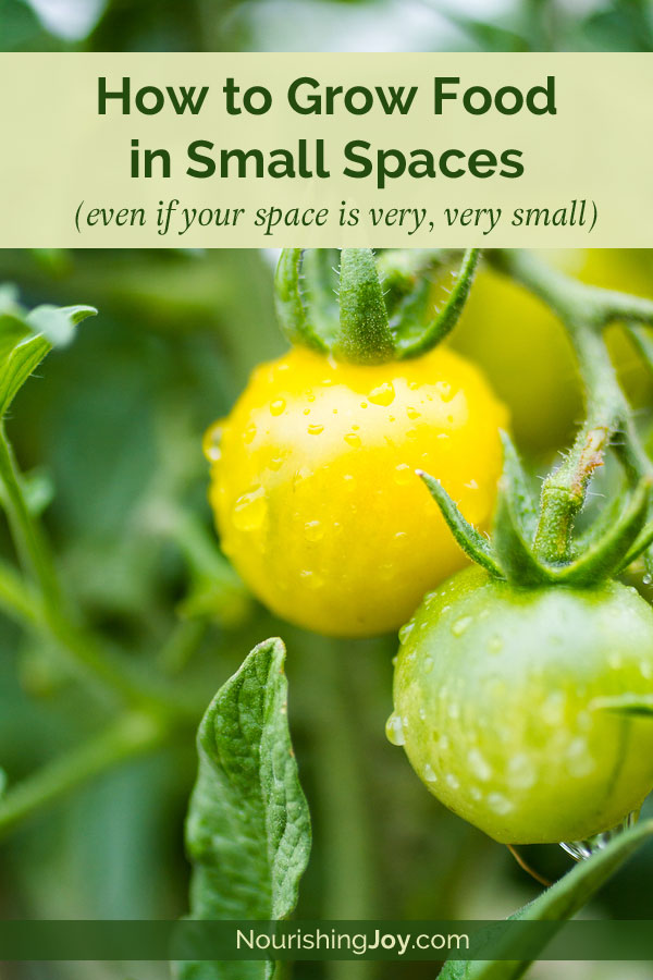 How to Grow Food in Small Spaces: 8 Tips That Work (Even if Your Space is Very, Very Small)