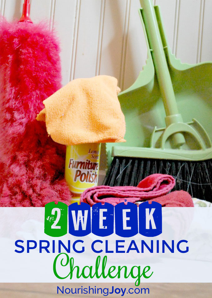 2 Week Spring Cleaning Challenge