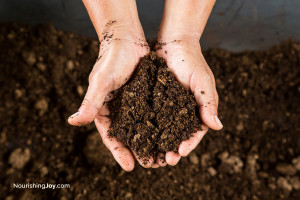 Make homemade potting soil - it's easier than you think!
