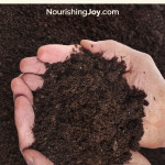 Making homemade potting soil requires only 3 ingredients and provides a place for your plants to thrive!