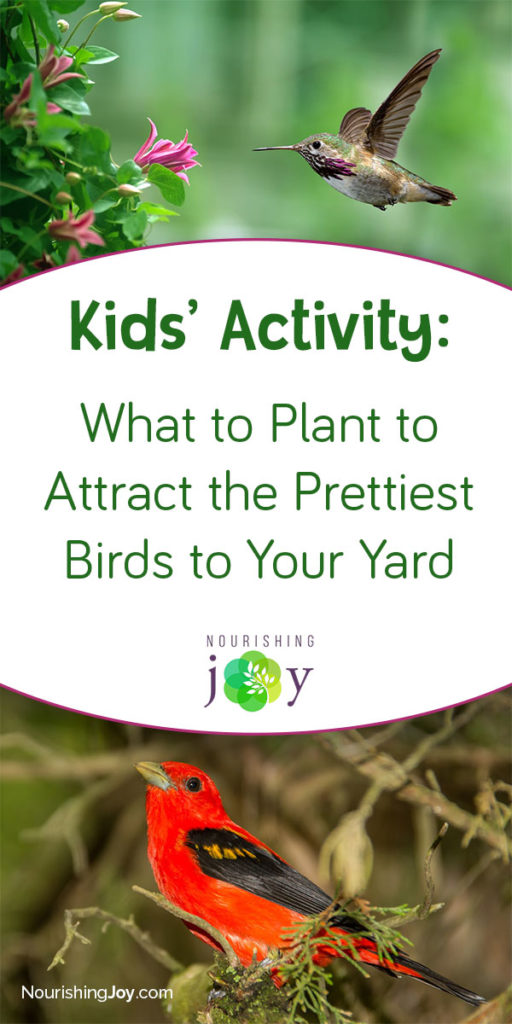 This is a GREAT activity to do with your kids, as it will foster the joy of discovery in both kids AND adults for years to come. Seriously a great idea!