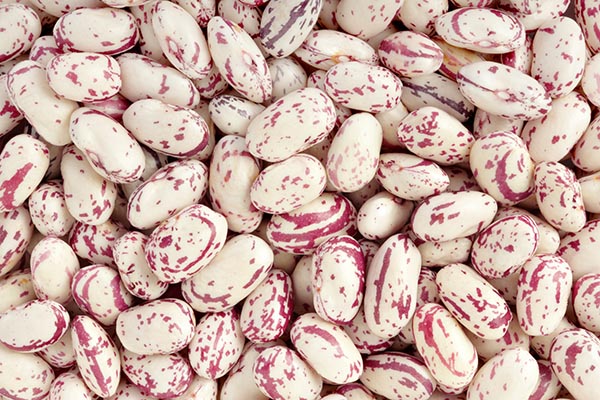 How to Cook Cranberry Beans